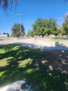 George Lane Skatepark © Mandi Vela Hersey on Google Maps
