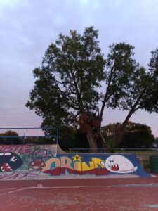 Hadley Skate Park © Isabell Diaz on Google Maps