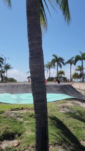 Haulover Skateboard Park © Nelson Garrido on Google Maps