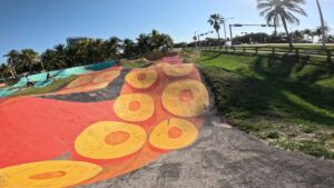 Haulover Skatepark & Pump Track © Ryan “Rhino” Hollon on Google Maps