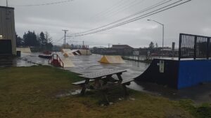 Homer Skatepark © Terrance Hoey II on Google Maps