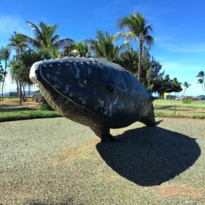 Kalama Park © Denzil Khine on Google Maps