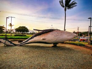 Kalama Park © Kevin Markman on Google Maps