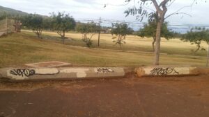 Kapolei Regional Skatepark © Portland John on Google Maps