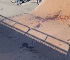 Lacey Skatepark © Chase Barrett on Google Maps