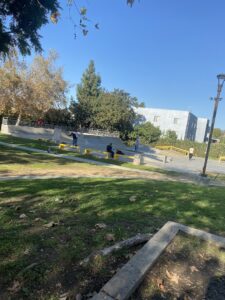 Lake Street Skatepark © ZoomBoom on Google Maps