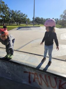 Lake Vista Skatepark © Vinny Fountain on Google Maps