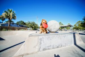 Live Oak Skate Park © Marshall Goodwin on Google Maps