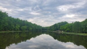 Louise F. Cosca Regional Park © Kelly Fischbein on Google Maps