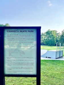 Mammoth Park Skatepark © Joe H. on Google Maps