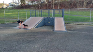 Manor Borough Skatepark © Keep Life Simple Allan on Google Maps
