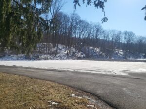 Marilla Skate Park © Fay Ridgeway on Google Maps