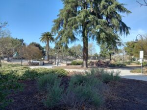 Moorpark Skate Park © Duane Jenkins on Google Maps
