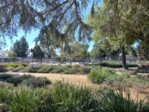 Moorpark Skate Park © Duane Jenkins on Google Maps