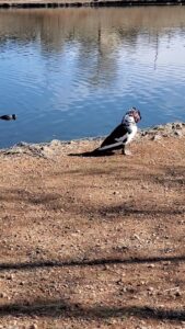 Mountain Valley Park © May Hresko on Google Maps
