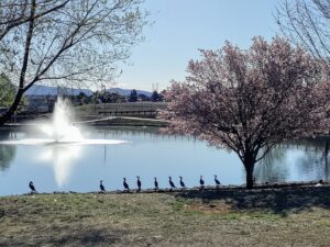 Mountain Valley Park © William Sowle on Google Maps