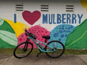 Mulberry Skate Park © Jessica Siewrattan on Google Maps