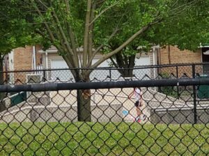 North Berwyn Park District Skatepark © Paulina S. on Google Maps