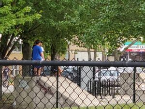 North Berwyn Park District Skatepark © Paulina S. on Google Maps