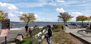 Nyack Skatepark © Cameron Toth on Google Maps