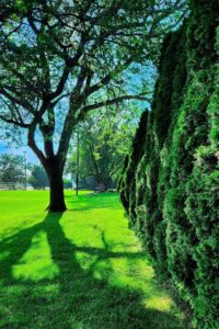 O’brien Park © Joshua Longerot on Google Maps