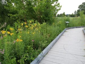 Oak Creek South Park © MicheLLe HoLLifieLd on Google Maps