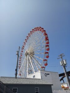 Ocean City Nj Skatepark © Princess Antoinette on Google Maps