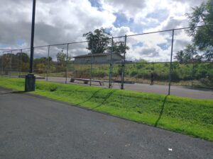 Ola’a Skatepark