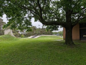 Owosso Skate Park © Big Cat on Google Maps