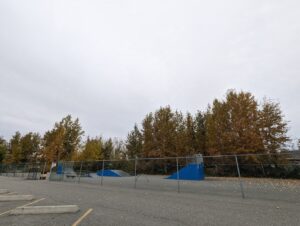 Palmer Skate Park © Nona on Google Maps