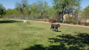 Paradise Valley Park © philip wachna on Google Maps