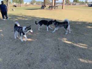 Paradise Valley Park © Kaleb Stewart on Google Maps
