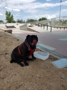 Pascua Yaqui Skate Park © Yoz Guerrero on Google Maps
