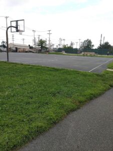 Phillips Park © LC Collins on Google Maps