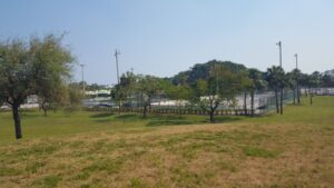 Phipps Skate Park © amy dance fernandez on Google Maps