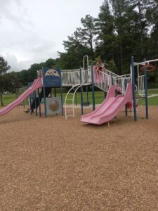 Piedmont Skate Park © Patricia Bullington on Google Maps