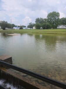 Piedmont Skate Park © Tutt tutt on Google Maps
