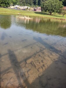 Piedmont Skate Park © Brittany Mason on Google Maps