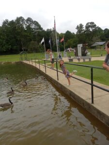 Piedmont Skate Park © Patricia Bullington on Google Maps