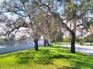 Pioneer Park © mariarosa h on Google Maps