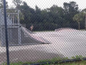 Plant City Skate Park © big OOF on Google Maps