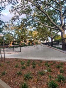 Playground 134 Skate Park © Gataluv Da Lioness on Google Maps