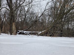 Prairie Park © Robert Neff on Google Maps