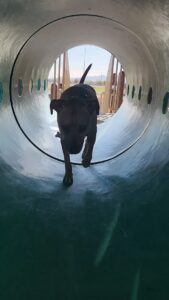 Quartzsite Skate Park © GoVaca Com on Google Maps