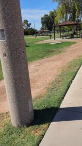 Reed Skate Park © NEW MEXIIKID on Google Maps