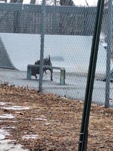 Sarah Jane Skatepark © Kathy Lamothe on Google Maps