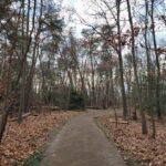 Sawmill Creek Park