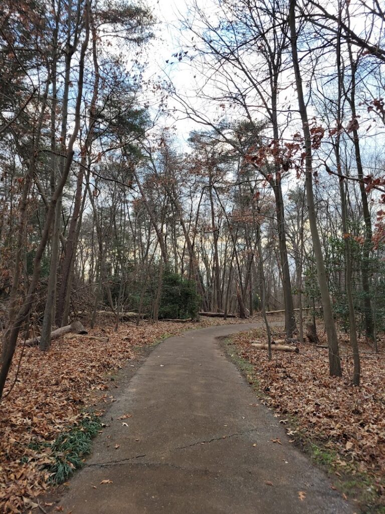 Sawmill Creek Park © Christina Pheeney on Google Maps