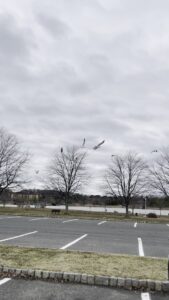 Sayreville Skatepark © Hardik Beladiya on Google Maps