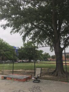 Shaw Skate Park © Jules on Google Maps